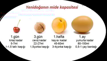 Yenidogan bebegin mide kapasitesi ne kadardır