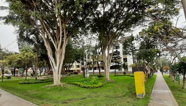 Grandes Parques en Surco
