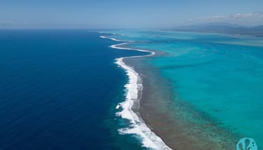 Great reef barrier of new Caledonia