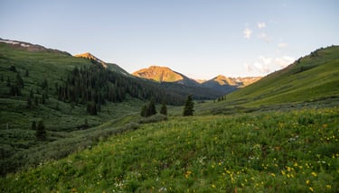 West Maroon Valley wildflowers, Mount Baldy at summer sunrise