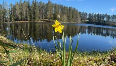 Samotność... czy Wolność?