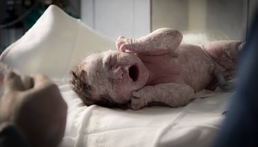 un bebé recién nacido