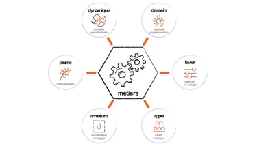 métiers et champs d'intervention au global