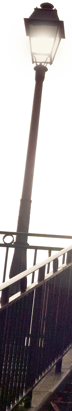 capter l'attention des réseaux sociaux