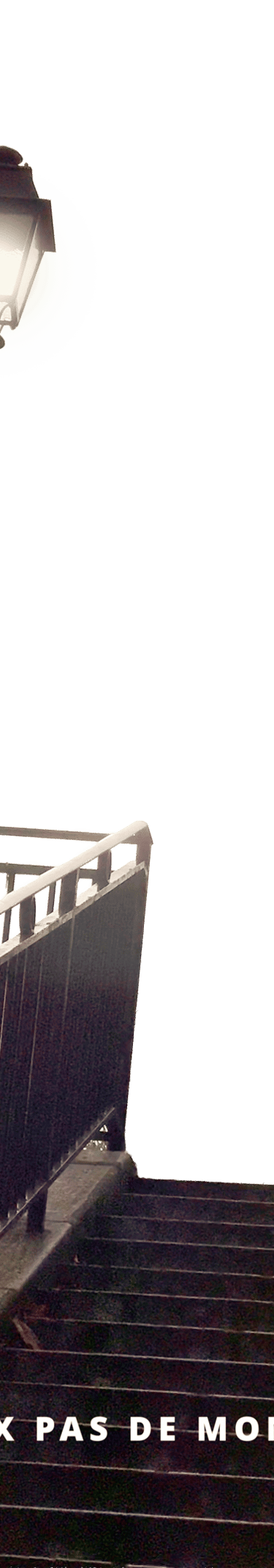 capter l'attention des réseaux sociaux