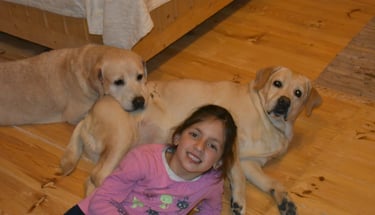 Dog Boarding, Dog Boarding near me, Pet Boarding, Pet Boarding near me, Dog Care, Happy Pettings