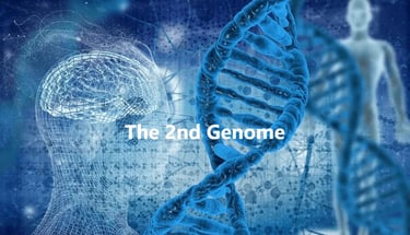 the second genome