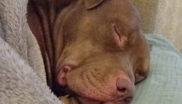 Dean sleeping