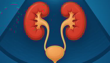 Ecografia renale e vie urinarie Qualiano - Esame reni e vescica studio Dott. Picascia