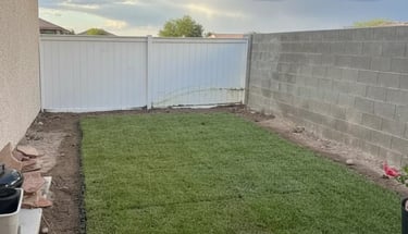 Newly laid natural grass lawn in a compact backyard patio surrounded by concrete walls.