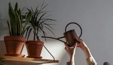 Person watering plants with a copper watering can