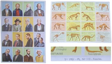 A Arnaud printing editeur paris educational cards chromos cartes