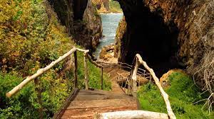 knysna heads walk and fitness route