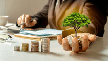 grow wealth