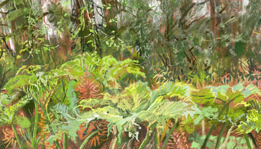 the giant Gunnera manicata