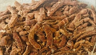 Naturally Sun-Dried Tamarind with Seed from Forest and Rural Areas of India