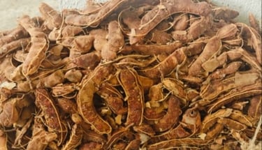 Naturally Sun-Dried Tamarind with Seed from Forest and Rural Areas of India