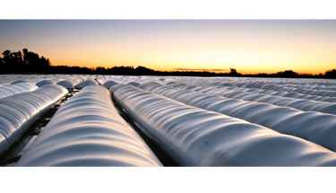 Sellador para Silo Bolsa - Seal SB