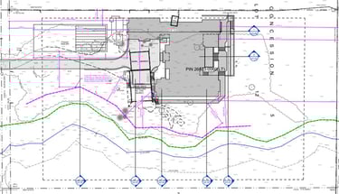 Example of a site plan drawing depicting constraints identified through an NHE.