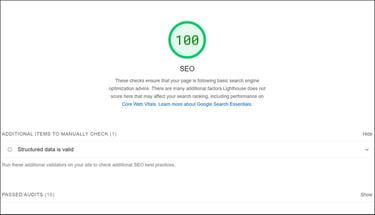 Screenshot of PPSL's website scoring 100% on SEO section of Google PageSpeed Insights tool