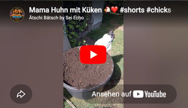 Mama Huhn