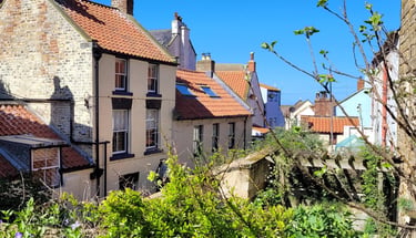 View from SAAC garden