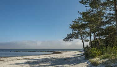 plaża