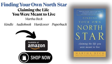 a book cover with a picture of a book 