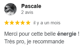 avis google sur sophie watremetz experte en prospection