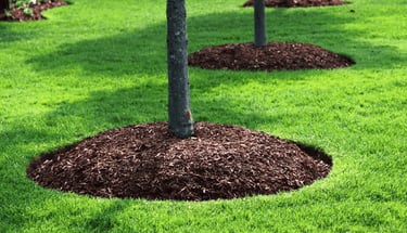 mulch instalment in tree bed