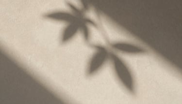Extreme close-up of soft warm sunlight casting delicate leaf shadows on a neutral plaster wall, elegant and quiet