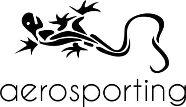 logo aerosporting