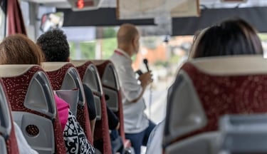 Professional tour guide service