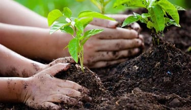 MÃOS PLANTANDO NA TERRA
