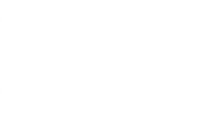 Perf Media logo white