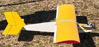 Dave B Yellow Tail (Maiden)