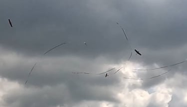 Malakoff Airfield Combat 1st Heat Electrics