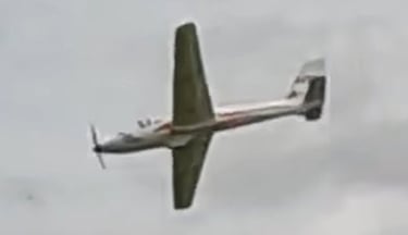 Mike G FMS Fox Glider
