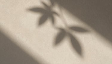 Extreme close-up of soft warm sunlight casting delicate leaf shadows on a neutral plaster wall, elegant and quiet