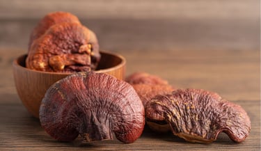 ganoderme dans un bol