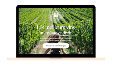 Page accueil site web