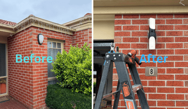 before and after image