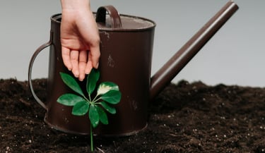 Watering can with young plant on fertile soil