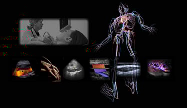 Panel of vascular ultrasound images from our hands-on training course.