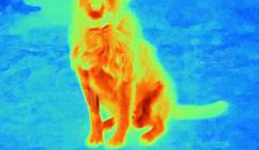 thermal SAR