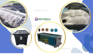 Filters and Clarifiers
