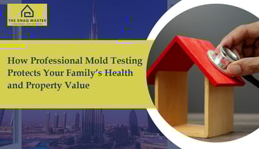 How Professional Mold Testing Protects Your Family’s Health and Property Value