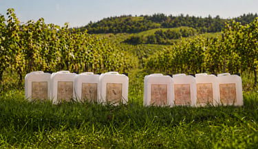 Phytodynamie products fertilizers in white containers set in a lush green vineyard under sunlight.