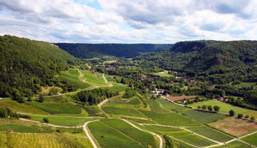 Aerial view of rolling green vineyards in a lush French valley under a cloudy blue sky.