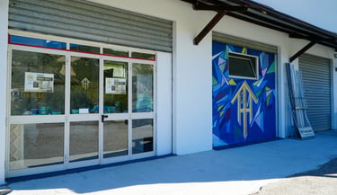 Modern storefront for a window and door showroom featuring glass doors and colorful wall murals.